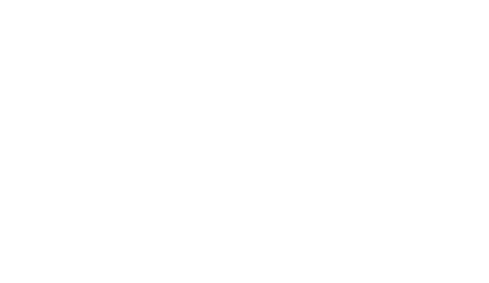 Nintendo Wii
